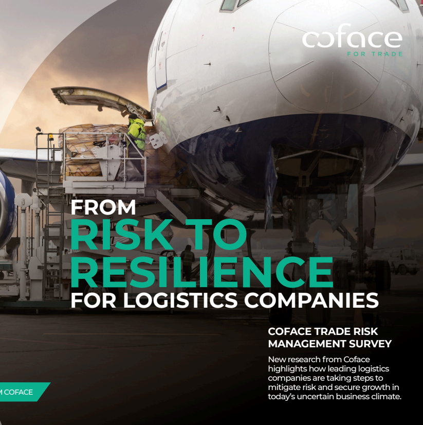 From Risk to Resilience for Logistics Companies