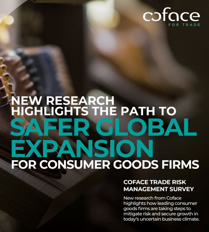 New Research Highlights the Path to Safer Global Expansion
