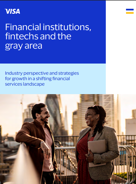 Financial institutions, fintechs and the gray area
